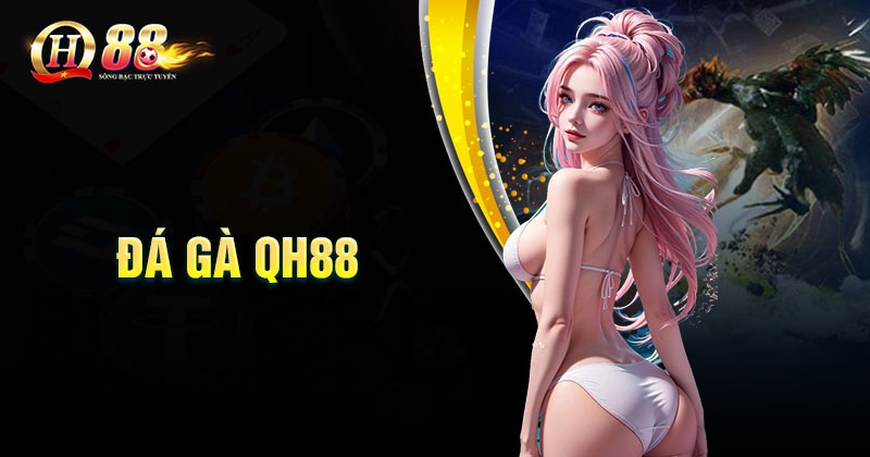 Đá Gà QH88