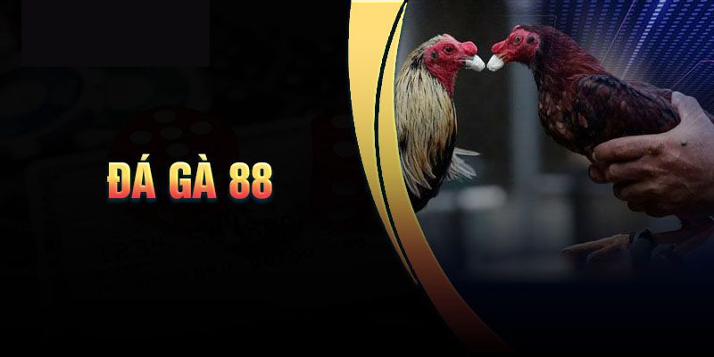 Sơ lược về sảnh cược được ưa chuộng