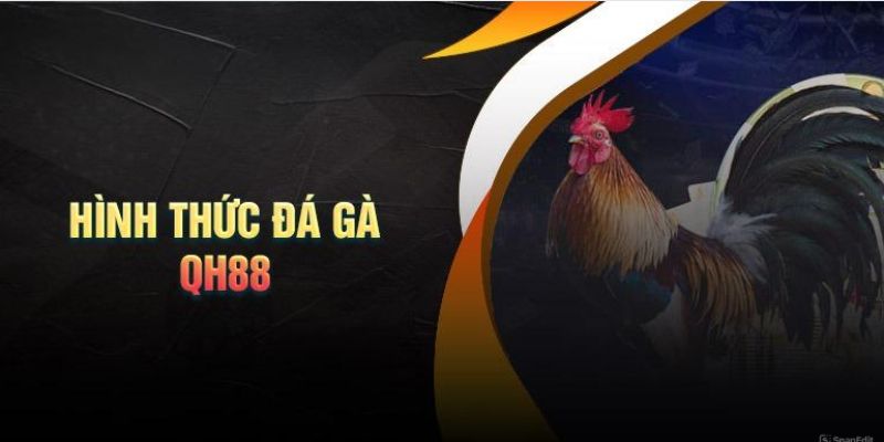 Các hình thức chọi kê đỉnh cao tại sảnh cược