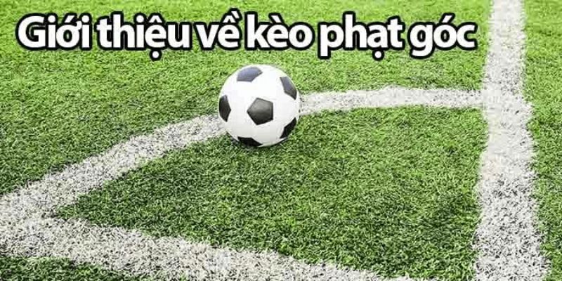 Thông tin đôi nét về hình thức cược phạt góc 